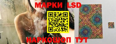 ешки Дубна