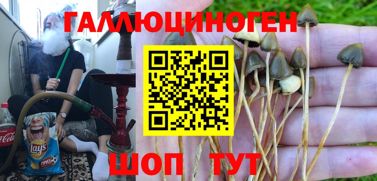 NBOMe  Меф кристаллы  МАРИХУАНА  MDMA  ГЕРОИН  Кетамин  Гашиш  Красноярск  Кокаин  Alpha-PVP СК   Меф  