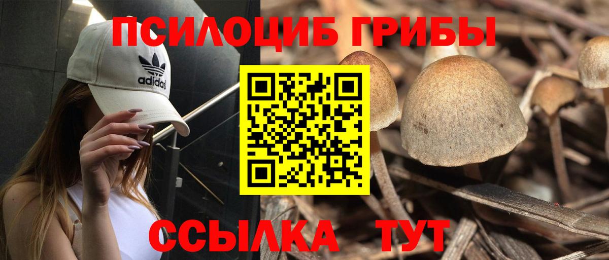 Псилоцибиновые грибы Cubensis  Вход с VPN  Красноярск 